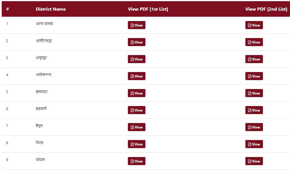 Mukhyamantri Yuva Internship Yojana Result 