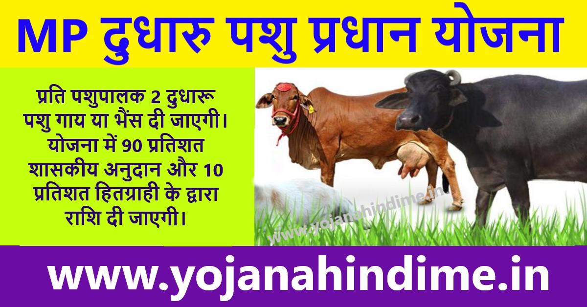 MP Mukhyamantri Dudharu pashu pradhan Gaay Bhains yojana