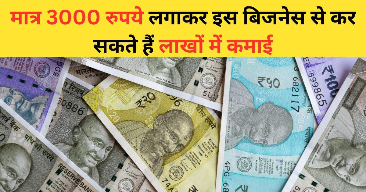 Business Idea rs 3000