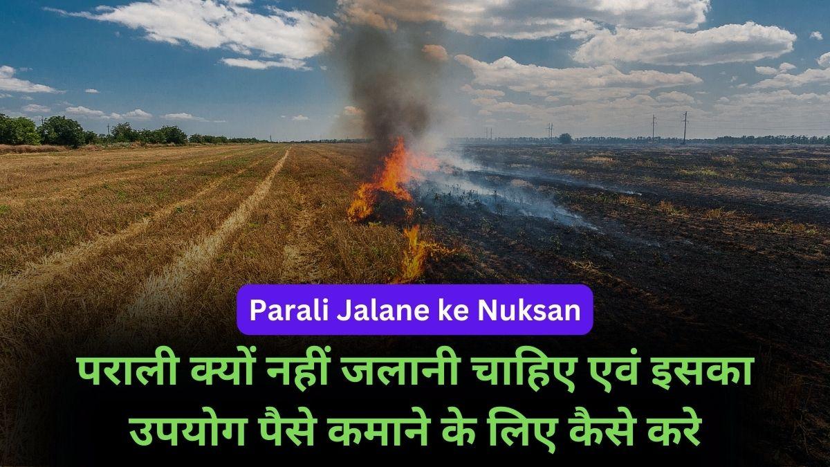 Parali Jalane ke Nuksan